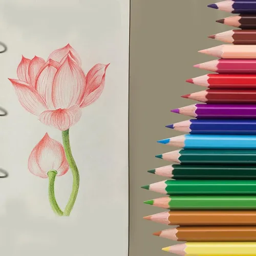 Miniatura 7 de Skkstationery - Lápices de colores, preafilados