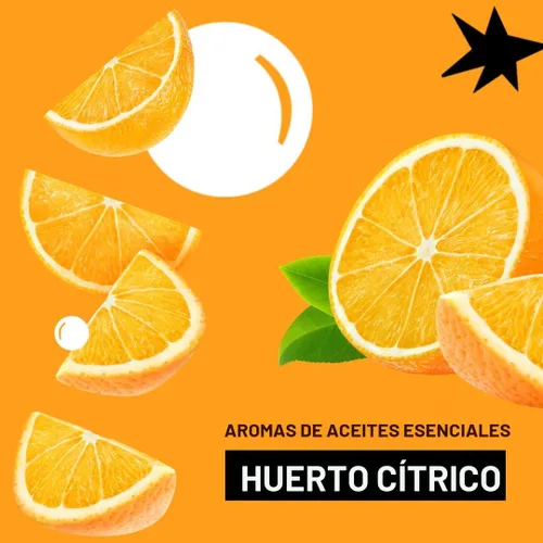 Miniatura 6 de Detergente Molly's Suds para ropa original en polvo Detergente en polvo para ropa limpia para pieles sensibles Ingredientes simples y efectivos