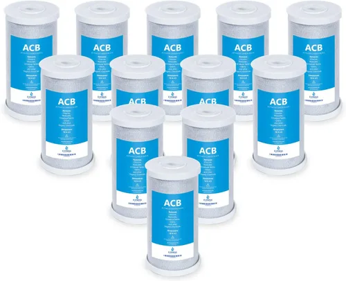 Express Water Paquete de 12 filtros de repuesto de bloque de carbón activado con filtro de agua - Filtro de agua de gran capacidad ACB - Filtración