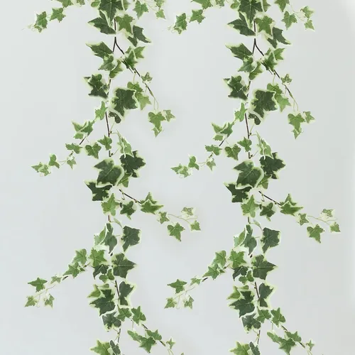 Miniatura 11 de Dallisten 3 hebras de enredaderas artificiales de ruscus italiano, guirnalda de vid de seda de 73 pulgadas con hojas verdes, plantas colgantes