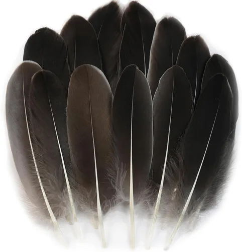 Miniatura 18 de 50 piezas de plumas de ganso naturales de 5 estilos, accesorios de ropa, paquete de estilos arcoíris, decoración de Pascua, Navidad, ropa