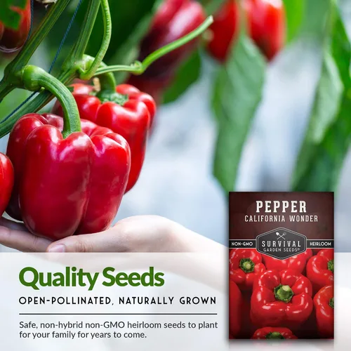 Miniatura 4 de California Wonder - Semillas de pimiento rojo para plantar Pimientos en bloque sin OMG para jardines domésticos – Semillas de jardín