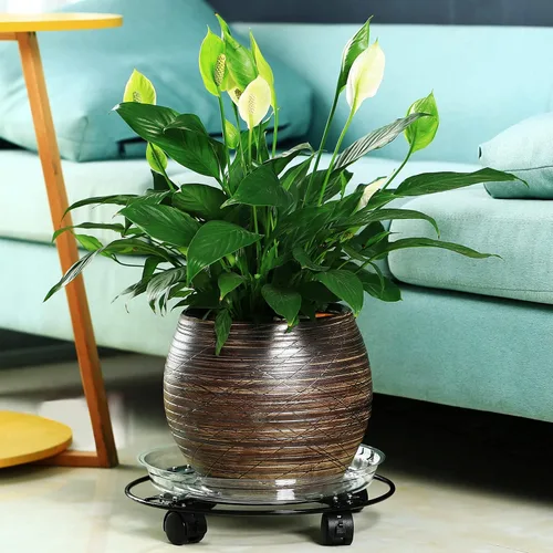 Miniatura 7 de Paquete de 3 cajas grandes de metal para plantas de 13 pulgadas con ruedas, soporte rodante de hierro forjado resistente con ruedas para macetas