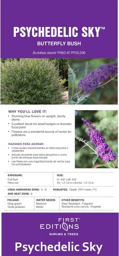 Miniatura 5 de Arbusto de cielo psicodélico Buddleia de 2 galones