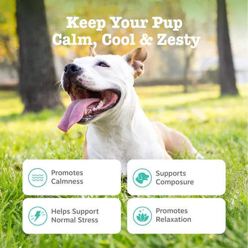 Miniatura 2 de Zesty Paws Masticables calmantes para perros - para el estrés diario, relajación, compostura y separación, mantequilla de maní 50