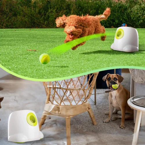 Miniatura 2 de ALL FOR PAWS Lanzador automático de bolas para perros, máquina interactiva para mascotas, lanzador de bolas para interiores, 3 bolas incluidas
