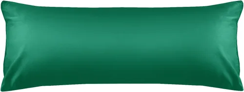 Miniatura 40 de Warmstar - Juego de 2 fundas de almohada de algodón tamaño estándar, 600 hilos, fundas de 20 x 26 pulgadas, algodón suave de fibra larga Placid Blue