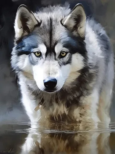 Miniatura 10 de Bimkole Kits de pintura de diamantes 5D, lobo atrapasueños, taladro completo, animales, juego de bordado de diamantes de imitación, pintura