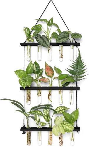 Miniatura 7 de Mkono Terrario para colgar en la pared de 3 niveles con soporte de madera, maceta de vidrio para corte de plantas hidropónicas, decoración de Beige