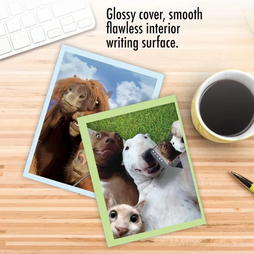 Miniatura 5 de The Best Card Company - Tarjetas de animales en blanco en caja, 4 x 5.12 pulgadas, mascotas surtidas, zoológico, tarjetas de vida silvestre