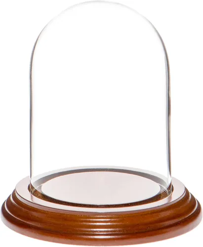 Miniatura 7 de Plymor Cúpula de cristal de 3" x 4" (base de chapa de roble)