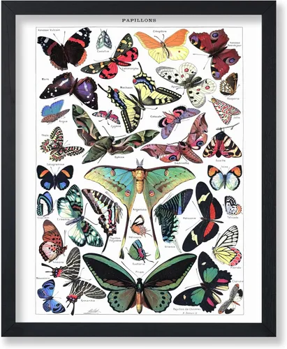 Miniatura 64 de Poster Master Póster vintage de miel, impresión retro de La Vie De L'Abeille, arte de panal de abeja, arte de pared de abeja, regalo para hombres