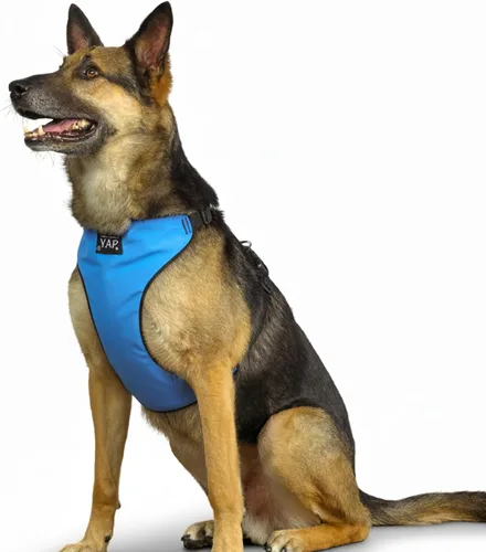 YAP Techno® - Arnés para perro sin tirones, ajustable en 4 direcciones, arnés de chaleco para perro con control de temperatura, arnés para perro sin