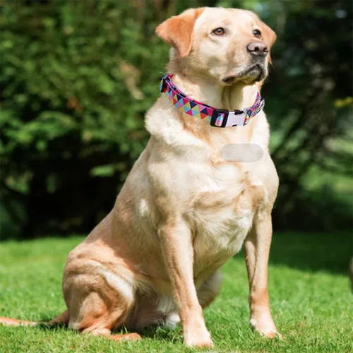 Miniatura 6 de Lindo collar para perros XS, pequeños, medianos y grandes, collar de nailon suave para mascotas, estampado 3D, con patrones multicolor, collares 11