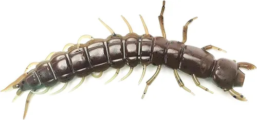 Hellgrammite - Señuelo de pesca de plástico suave, cebo súper realista para lubina y trucha, 3.7 pulgadas, paquete de 8 Stone Cold