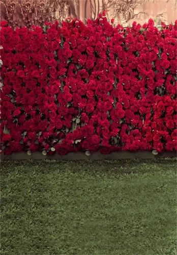 AOFOTO Fondo de fotografía infantil de 5 x 7 pies para sesión de fotos para niños, romance, rosas rojas, flores, pared, suelos de hierba borrosa,