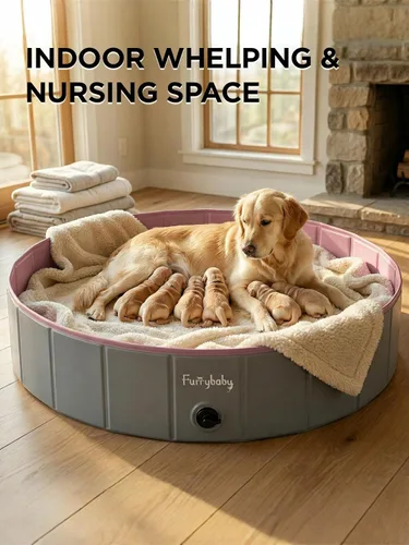 Miniatura 10 de Furrybaby Piscina para perros, piscina infantil plegable de plástico duro para perros grandes, portátil para mascotas, para nadar
