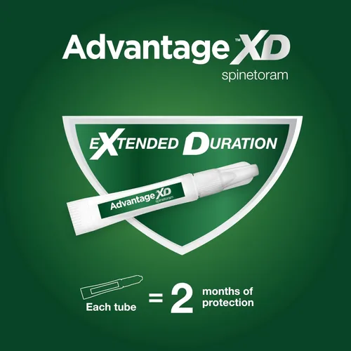 Miniatura 3 de Advantage XD - Prevención y tratamiento de pulgas para gatos pequeños 1.8-9lbs. 4 dosis tópicas, 2 meses de protección por dosis