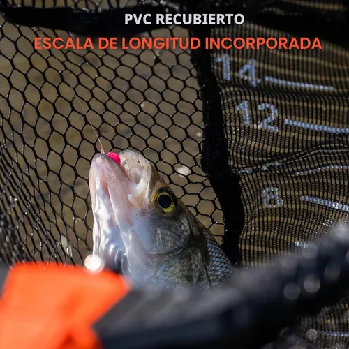 Miniatura 4 de KastKing Pontus - Red de pesca para pescar, plegable y ligera, red de pesca de agua dulce con escala de longitud integrada, mango de aluminio, malla