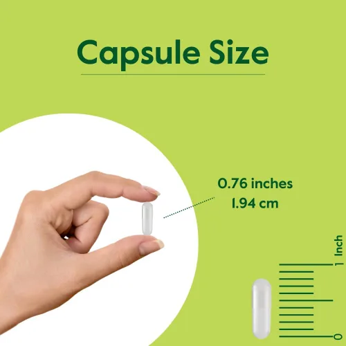 Miniatura 4 de BESTVITE Cardo mariano de 300 mg (240 cápsulas vegetarianas) - estandarizado al 80% de flavonoides de silimarina - Sin estearatos - Vegano - Sin OMG