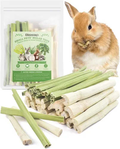 Bissap 40 palitos masticables de conejo, 20 palitos masticables de bambú dulce y 20 tallos de papaya para conejo, hámster, chinchilla, conejillo de