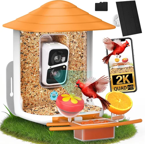 Miniatura 11 de birdsnap® TUC - Comedero para pájaros con cámara 2K HD en vivo con tarjeta de 32 GB, detección y notificación automática de inteligencia artificial