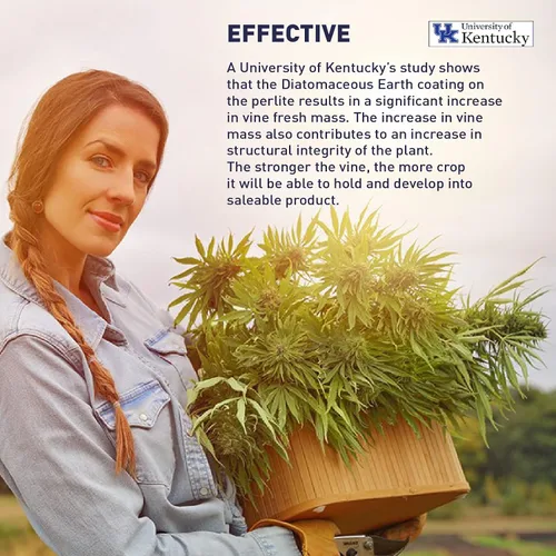 Miniatura 8 de EasyGo Product Harvest Hero Perlita con sílice para mezcla de tierra para macetas, esquejes de raíces, recipientes y cultivo hidropónico, grado