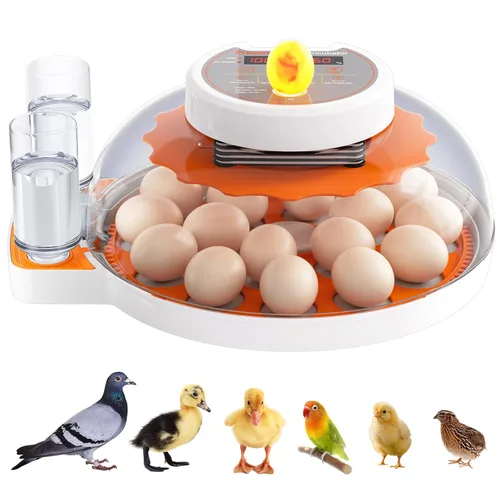 Incubadoras para incubar huevos: capacidad de 18 huevos, girador automático de huevos, visualización de 360°, control de temperatura y humedad,