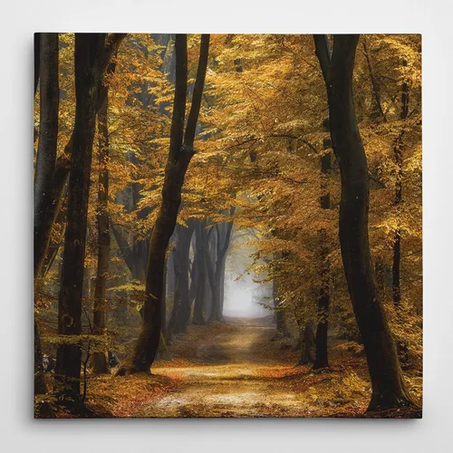Miniatura 37 de WEXFORD HOME Cuadro Premium en Lienzo con Envoltura de Galería Floral Multicolor para Pared, Arte Abstracto Floral Romántico Moderno, Impresión