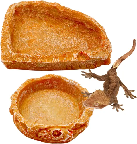 Plato de agua para reptiles, cuencos de dragón barbudo, paquete de 2 cuencos de comida para reptiles para cangrejo ermitaño, dragón barbudo,