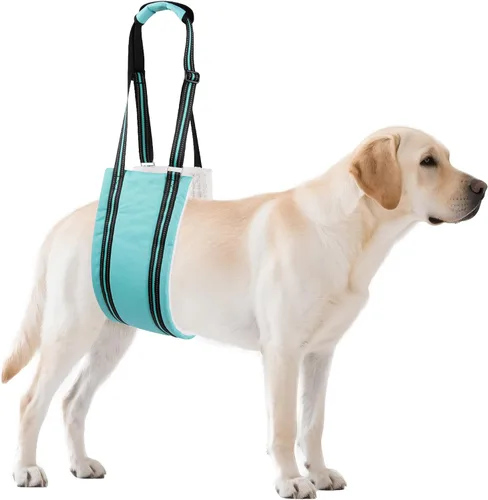 Miniatura 16 de AIITLE Eslingas mejoradas para perros pequeños – Arnés de soporte para patas traseras y cadera, ayuda de elevación de rehabilitación súper suave