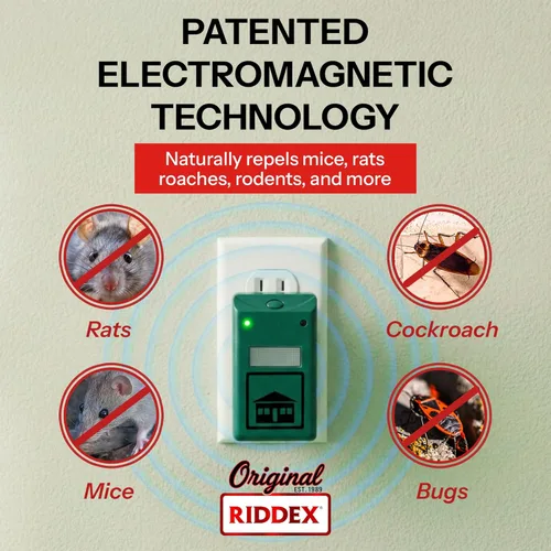 Miniatura 2 de RIDDEX Plus Repelente de insectos – Plug in, Mouse Disuasor – Rechazo de plagas para defensa contra ratas, ratones, cucarachas, insectos e insectos