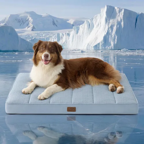 Miniatura 66 de Bedsure Camas para Perros Tamaño Grande - Cómodas Camas Planas para Mascotas con Funda Lavable Extraíble, Alfombrilla de Espuma Ortopédica