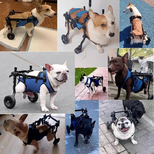 Miniatura 4 de Lightweight Portable Dog Wheelchair, 2-Wheel Pet Stroller, Breathable Mobility Aid for Small Dogs with Back Leg Support,M