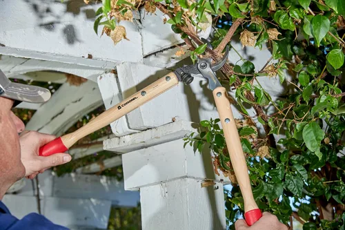 Miniatura 4 de Corona WL 6310 ClassicCUT - Lopper de vid de derivación, 20 pulgadas
