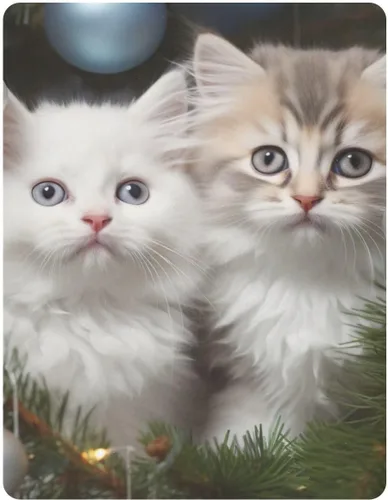 Sábanas bajeras para cuna, diseño de gatitos con árbol de Navidad, para niño y niña, para colchón de niños pequeños, sábana de juego 21216555