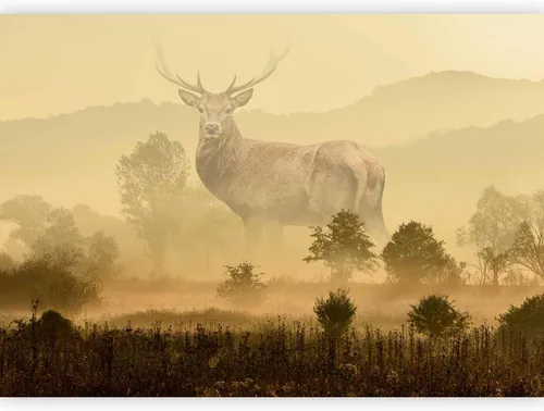 Miniatura 11 de artgeist Mural para pared Animal lobo 98x69 pulgadas - Papel tapiz no tejido de forro polar Decoración de pared Impresión fotográfica Diseño
