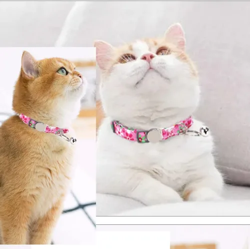 Miniatura 7 de Collares de gato con etiqueta de nombre, placa grabada personalizada, número de teléfono, collar de gatito con campanas ajustables para lindas