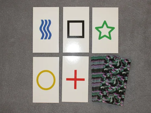 Miniatura 2 de 2PK E01C Low Cost Zener Style Tarjetas de prueba ESP sin marcar - no marcadas - no es un truco de magia