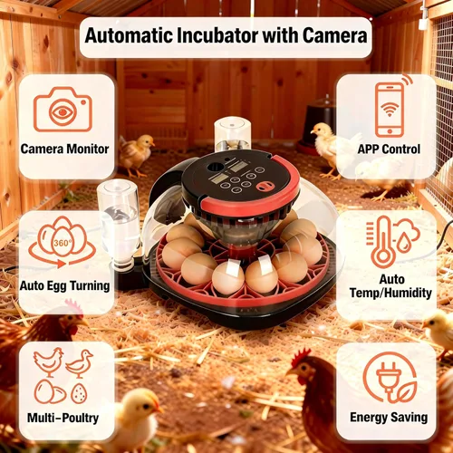 Miniatura 5 de Incubadora automática de huevos para 12 huevos de gallina con control de aplicación de cámara, monitor de temperatura y humedad, girador automático
