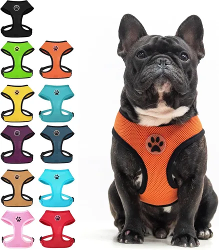 Miniatura 7 de BINGPET Arnés para perro sin tirones, arnés de chaleco tipo step-in de malla para todo clima para perros pequeños, arnés de malla transpirable