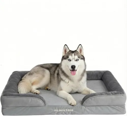 Miniatura 10 de The Dog's Bed - Cama para perros de espuma con soporte para perros XXL, Oxford gris, cama para perro lavable con forro impermeable extraíble, base