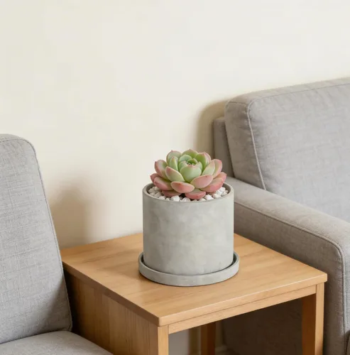 Miniatura 7 de Ekirlin Maceta para Plantas con Flores de 6 Pulgadas para Interiores - Maceta de Jardín de Cemento Gris, Maceta de Concreto con Orificio de Drenaje