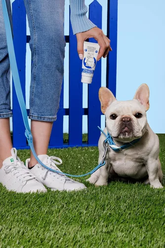 Miniatura 8 de Squishface Pasta antiarrugas y aplicador de crema de silicona flexible para perros, forma más suave y limpia de aplicar pasta antiarrugas en la cara