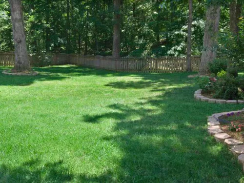 Miniatura 2 de Hancock Seed Co. Titan RX Turf Type Tall Fescue Grass Seeds, 5 libras.