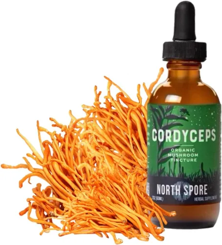 Miniatura 3 de North Spore Cordyceps - Tintura de extracto de hongo, gotas diarias líquidas para energía, resistencia, rendimiento, Cordyceps Militaris orgánico