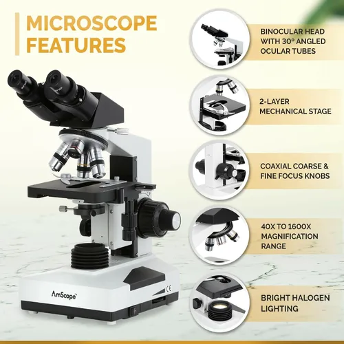 Miniatura 2 de AmScope Microscopio binocular compuesto B490B-M 40X-2000X + cámara de 1,3 MP