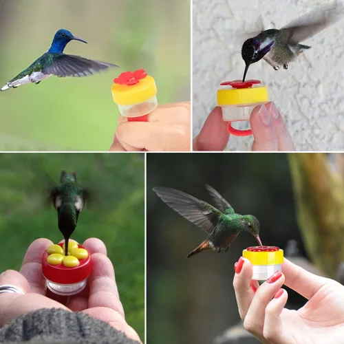 Miniatura 7 de Comederos de Anillo para Colibríes de Mano, 4 Piezas Mini Comedero de Mano para Colibríes con 4 Piezas Cepillo de Limpieza, Comederos de Pájaros