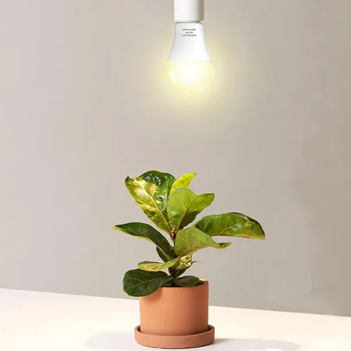 Miniatura 3 de Paquete de 3 Bombillas de Luz de Crecimiento de Espectro Completo, Luz A19 para Plantas de Interior, Bombilla de Crecimiento de 9W Regulable E26