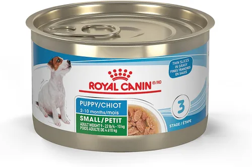 Royal Canin Size Health Nutrition - Alimento para perros pequeños en rodajas finas en salsa para cachorros, 5.1 onzas (paquete de 24)